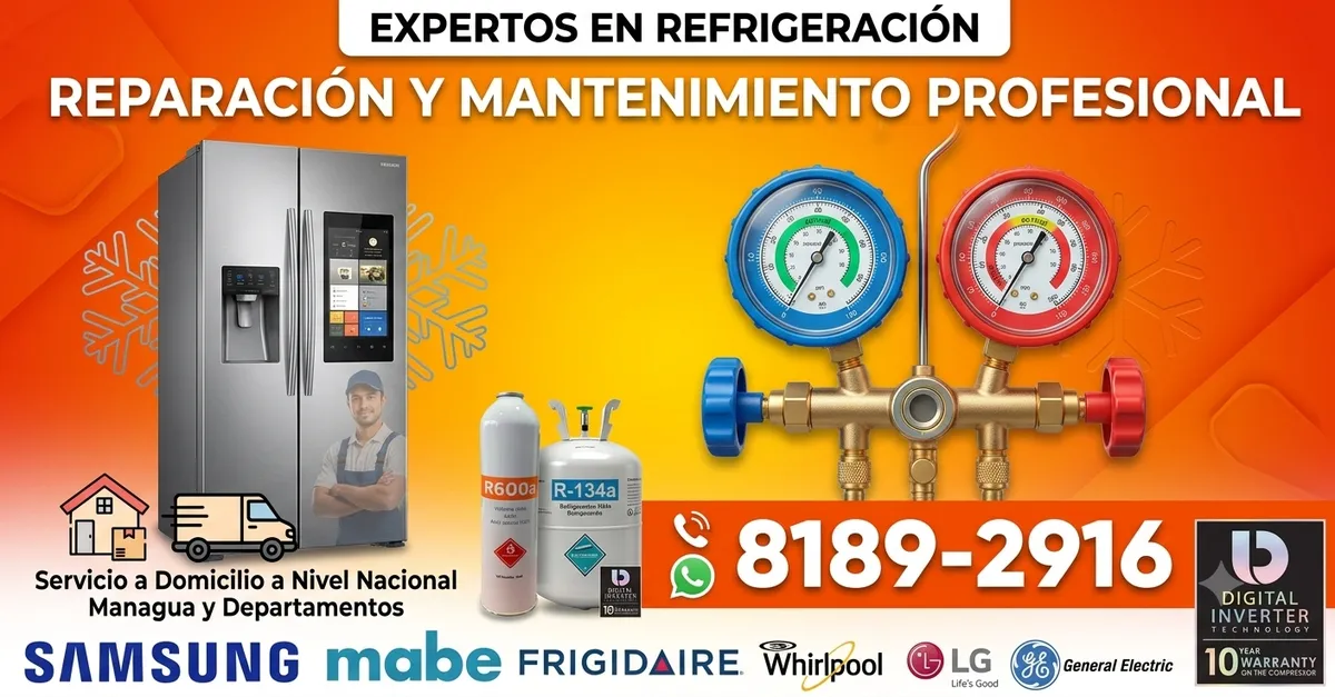 PREPARACION DE REFRIGERADORAS A DOMICILIO
