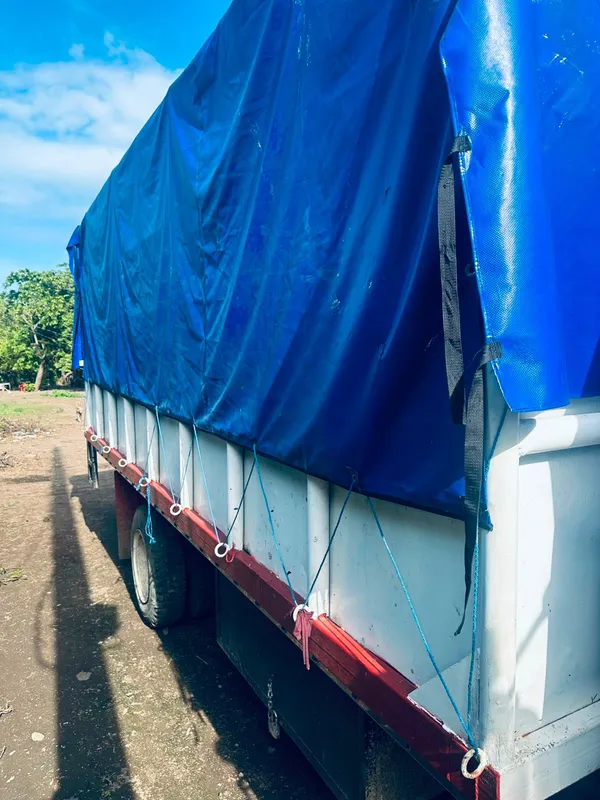Isuzu de 6 toneladas - Foto 3